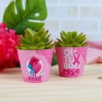 Arquivo Outubro Rosa Saia para Suculenta