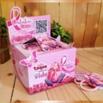 Arquivo Outubro Rosa Dispenser Urna 12x9
